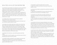 Load image into Gallery viewer, Ramadan Planner: Pink Mosque