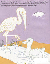 Load image into Gallery viewer, Stories from the Quran: Big Colouring Book