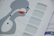 Load image into Gallery viewer, Tajweed Untangled